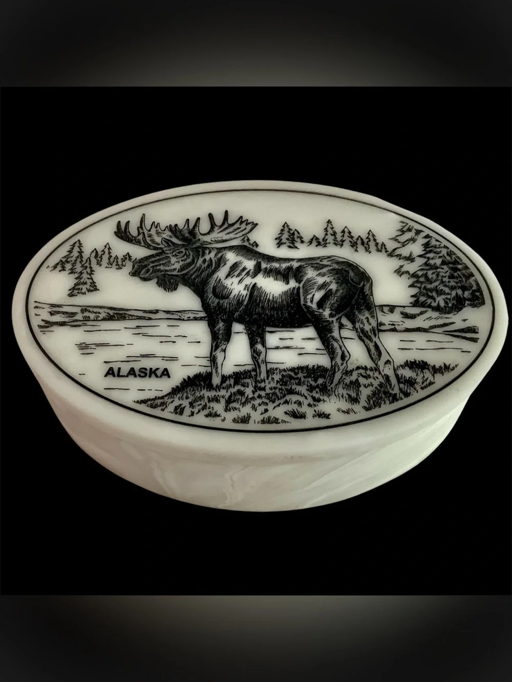 Cultured Ivory Scrimshaw Alaska Moose Oval Trinket Box - Black and Cream